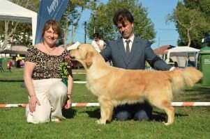 EW23.DK.Pt.Lux.Esp.Int.Ib..Gr.Pt.Ch. MAKE A WISH DE LAR DE CASANOVA DK Winner 23