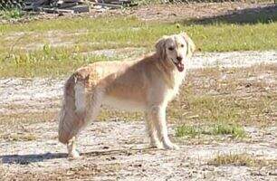 Windridge Zoe Windridge Zoe