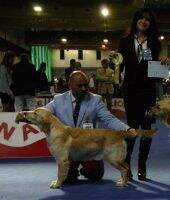 Ayesha de Torre los Herberos SCPW 19 GBW 19