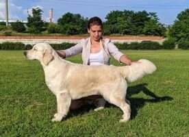 UA Aspasia Favourite Gold Friends