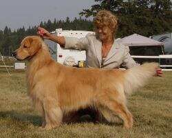 MBIS MRBIS AmGCh CanGChG Eirene's Chase N Chicks NTD