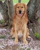 Grapevine's Living Proof