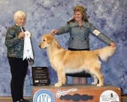 GCHS CH Timberbash's Cork Country Bubbles