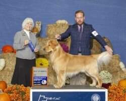 Intl CH U-CH Carova's Magic Molly's Dreams Come True with Albus