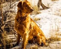 Findlay De Wallace Of WM Farms