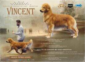BJIS.TH.CH. VINCENT DE JAZZ-ARGENTINA