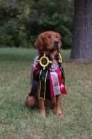 HR Stormy Hill's Red Thunder THDN