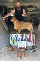 Sunfire's Wyatt Walkin' On Water VHMA RN DS CCA TKP