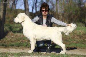 Ukraine Huntmagic Hubertus Ukraine Huntmagic Hubertus