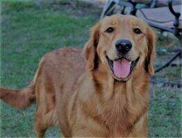 Maggie Mae Truett