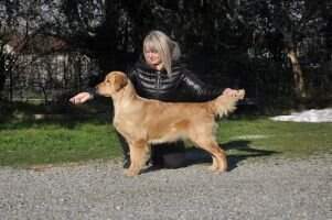 Double Willow Tempesta Double Willow Tempesta