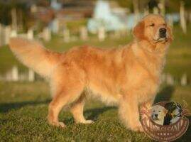 Chasse J Maite