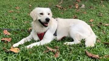 Margarida Ruby