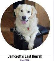 Jamcroft's Last Hurrah
