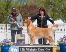 Wagntail's Save The Last Dance
