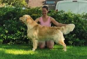 Only Devotion Fluffy Candyfloss Only Devotion Fluffy Candyfloss