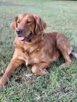 Macy Jo Montgomery