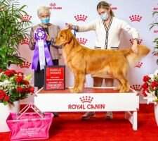 24k Retrievers You Glow Girl DN DJA RI RATO FDC ATT TKN