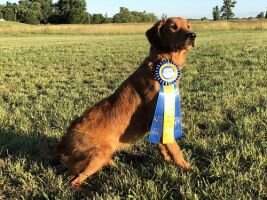 SHR Topbrass Dakota Sagebrush Blowing In The Wind