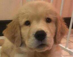 Floyd Pawl