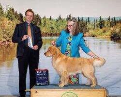 Bear Valley's Tanana Aureus Amicus BN RN TKA