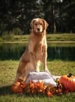 Gemini's and 24k Retrievers Extra Cup of Joe ATT HDS DM RN ATT FDC BCAT TKN DSA