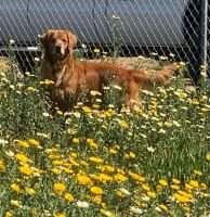 Lilly Andonian Lilly Andonian