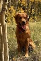 Quartermoon Gunnison Quartermoon Gunnison