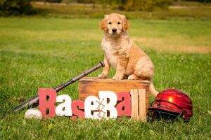 Pemberley's All the Way Mae