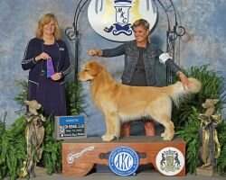 Evening Star's Golden Boy Boone