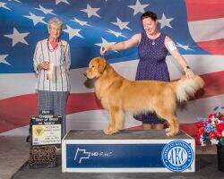Maximus Golden Trip Where The Road Leads FDC