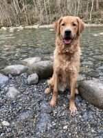 Rio's Ray of Sunshine
