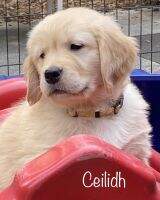 Promise's Faraway Party 'Til Breakfast