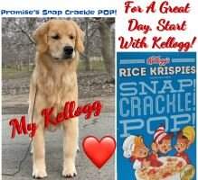 Promises Snap Crackle POP!