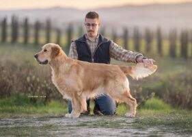 Gingolds Castillo with Double Willow