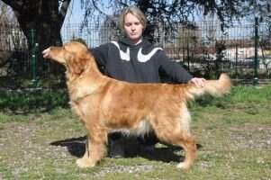 MNE Double Willow Ypernova