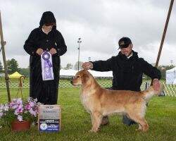 Sunbolyn's Bewitched @Cheshire POA CCA TKN