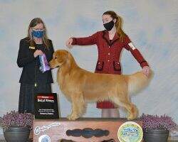 Smoketree's 24k Magic Smoketree's 24k Magic