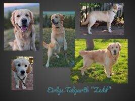 Eirlys Talgarth Eirlys Talgarth