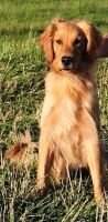 Turbo Flash Dancer Turbo Flash Dancer