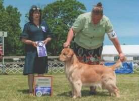Springvale's Two Good To Be True TKN FDC Springvale's Two Good To Be True TKN FDC