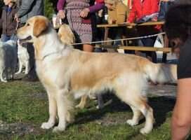 Oh This Fantasy Astral Sky