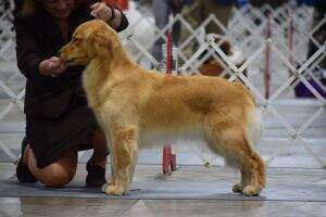 True Magic Wrapped in Sable TKN True Magic Wrapped in Sable TKN