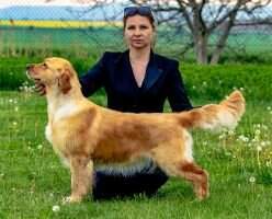 Maximma Sneh Tatier
