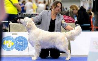 UA JGrCHUA CH UA CH BiH CH UKU Breed CH NAVILIS FIRE & ICE TopBOS'21