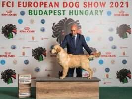 EuropienPuppyWinner21, JunChSk, JunChLux Mon Moriani Quilin