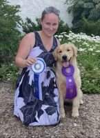 CH Evergrace's Fab Feathered Flips 4 Charlies Angel