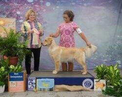 Richwood Island Breeze At Belle Terre CCA
