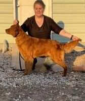 Mff Bonnie Rose On The Rocks CGCA CGCU VHMA TKN