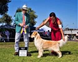 Dalane-Woodriver Buzzworthy On Broadway